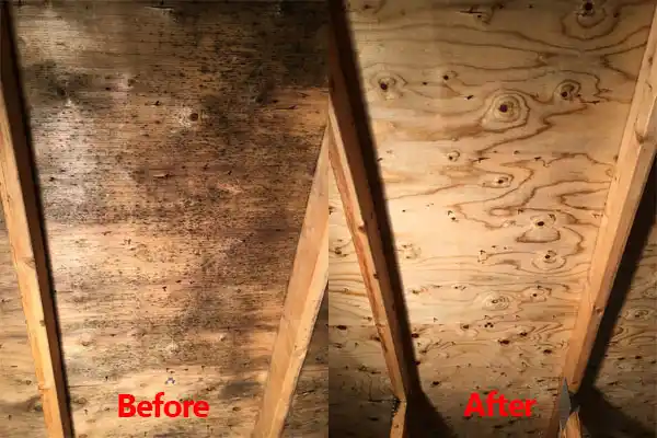water damage restoration service McGill